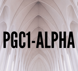 pgc1 alpha